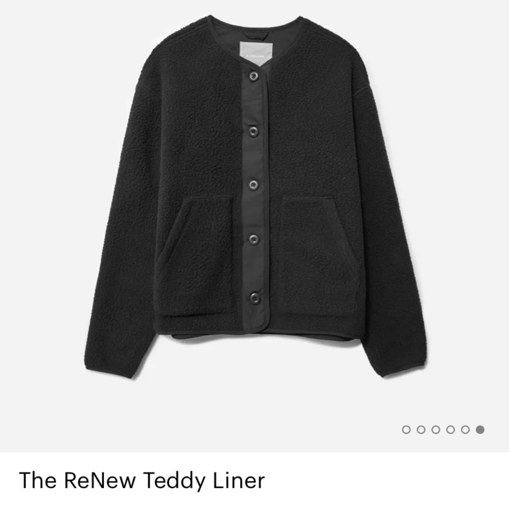 Everlane Teddy ReNew Liner